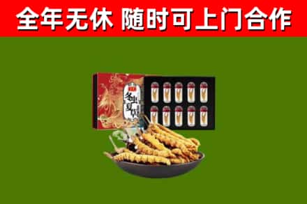 深泽烟酒回收冬虫夏草礼盒.jpg